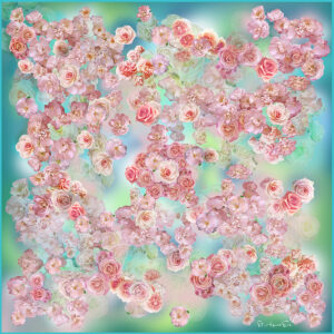 Silk scarf St Agnes Eve English Rose Limited edition